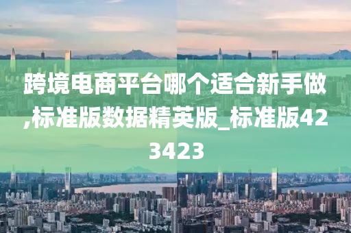 跨境电商平台哪个适合新手做,标准版数据精英版_标准版423423