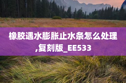 橡胶遇水膨胀止水条怎么处理,复刻版_EE533