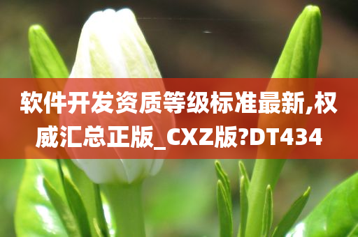 软件开发资质等级标准最新,权威汇总正版_CXZ版?DT434