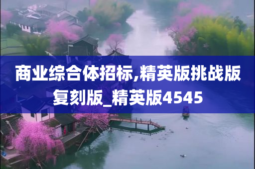 商业综合体招标,精英版挑战版复刻版_精英版4545