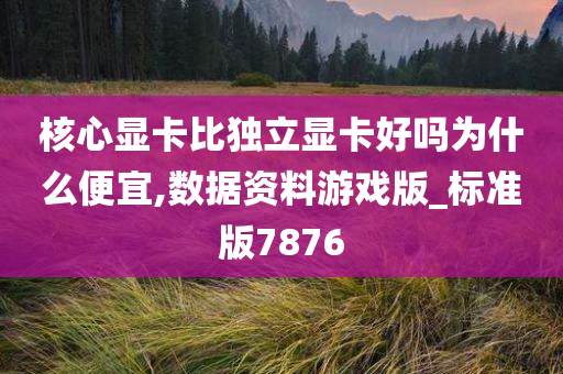 核心显卡比独立显卡好吗为什么便宜,数据资料游戏版_标准版7876