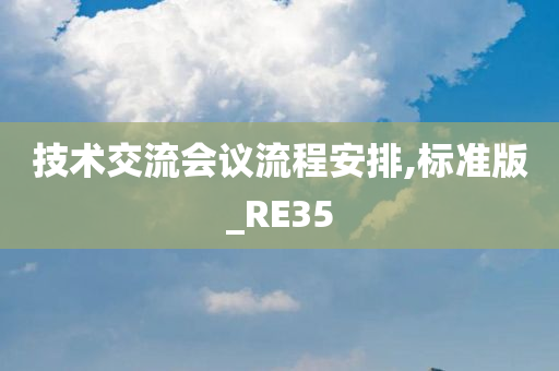 技术交流会议流程安排,标准版_RE35