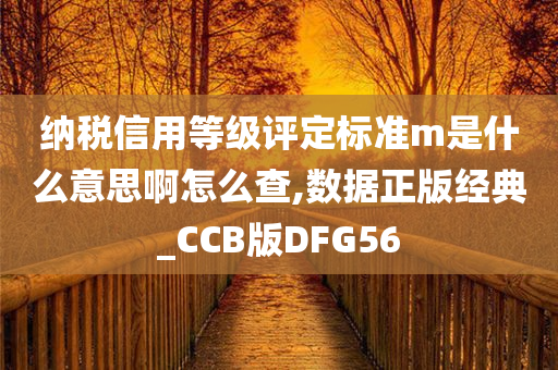 纳税信用等级评定标准m是什么意思啊怎么查,数据正版经典_CCB版DFG56