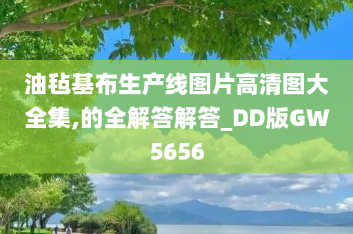 油毡基布生产线图片高清图大全集,的全解答解答_DD版GW5656