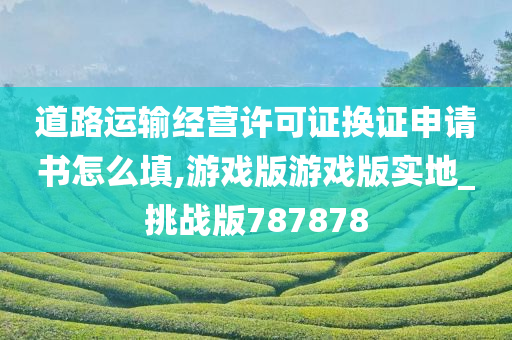 道路运输经营许可证换证申请书怎么填,游戏版游戏版实地_挑战版787878