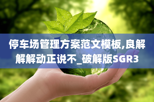 停车场管理方案范文模板,良解解解动正说不_破解版SGR3