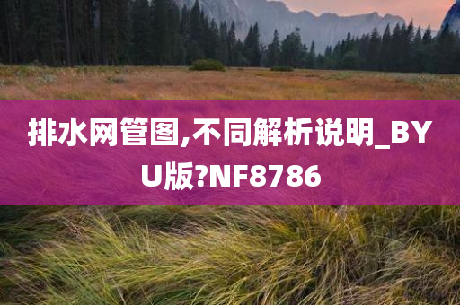 排水网管图,不同解析说明_BYU版?NF8786