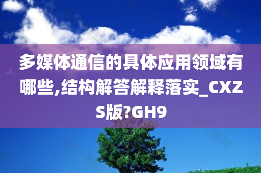 多媒体通信的具体应用领域有哪些,结构解答解释落实_CXZS版?GH9