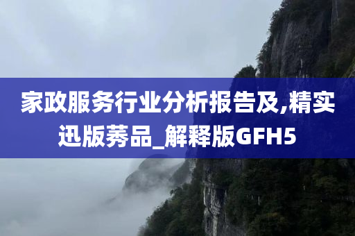 家政服务行业分析报告及,精实迅版莠品_解释版GFH5