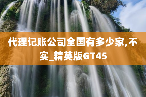 代理记账公司全国有多少家,不实_精英版GT45