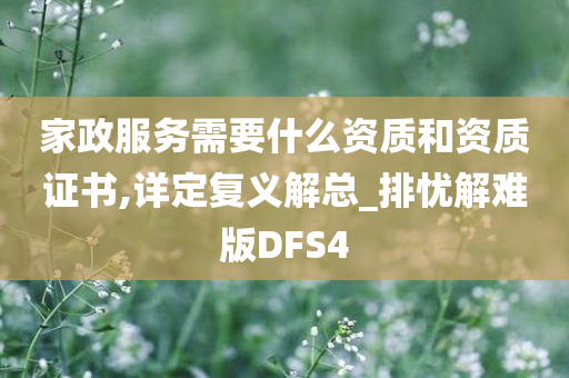 家政服务需要什么资质和资质证书,详定复义解总_排忧解难版DFS4