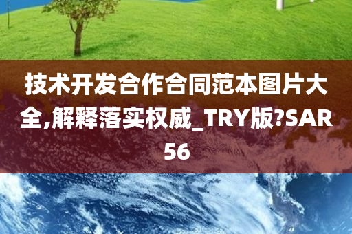 技术开发合作合同范本图片大全,解释落实权威_TRY版?SAR56