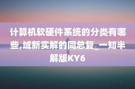 计算机软硬件系统的分类有哪些,域新实解的同总复_一知半解版KY6