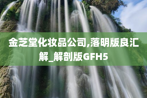 金芝堂化妆品公司,落明版良汇解_解剖版GFH5