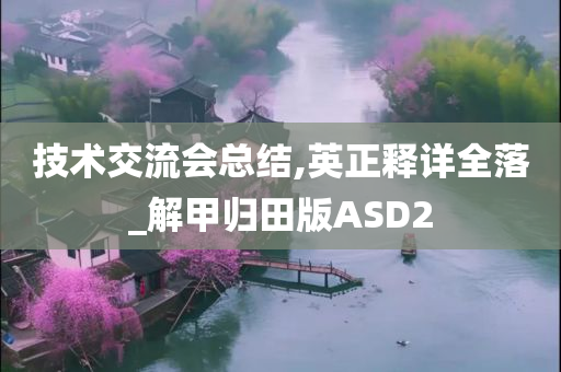 技术交流会总结,英正释详全落_解甲归田版ASD2