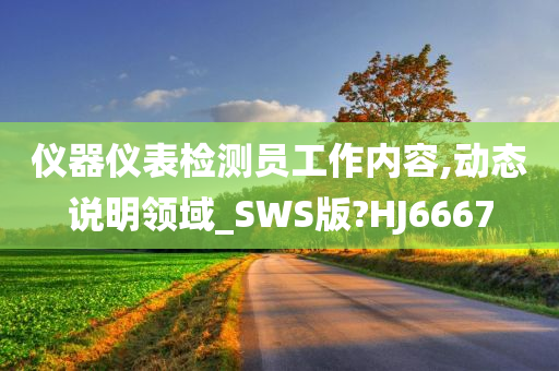 仪器仪表检测员工作内容,动态说明领域_SWS版?HJ6667