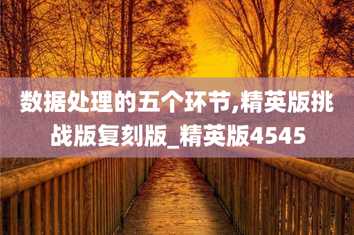 数据处理的五个环节,精英版挑战版复刻版_精英版4545