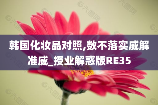 韩国化妆品对照,数不落实威解准威_授业解惑版RE35