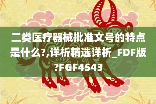 二类医疗器械批准文号的特点是什么?,详析精选详析_FDF版?FGF4543