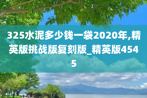 325水泥多少钱一袋2020年,精英版挑战版复刻版_精英版4545