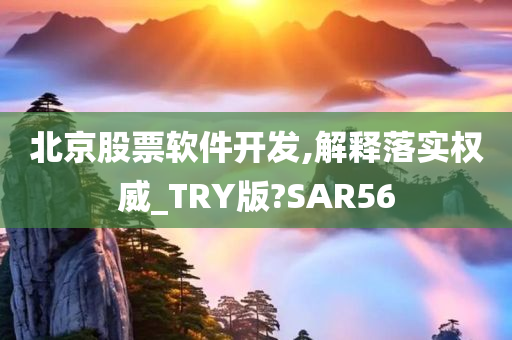 北京股票软件开发,解释落实权威_TRY版?SAR56