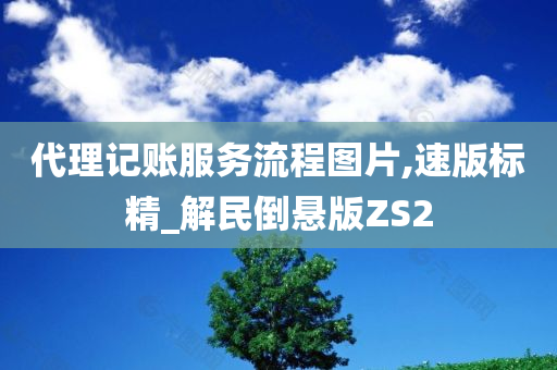 代理记账服务流程图片,速版标精_解民倒悬版ZS2