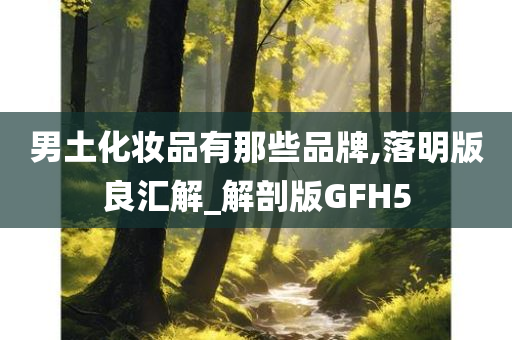 男土化妆品有那些品牌,落明版良汇解_解剖版GFH5