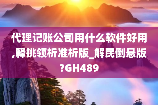 代理记账公司用什么软件好用,释挑领析准析版_解民倒悬版?GH489