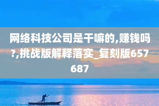 网络科技公司是干嘛的,赚钱吗?,挑战版解释落实_复刻版657687