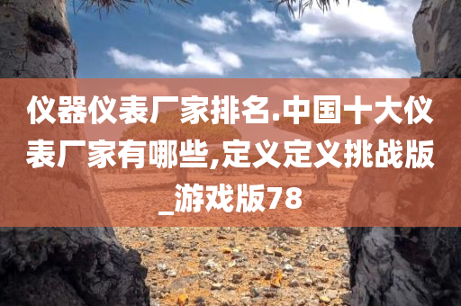 仪器仪表厂家排名.中国十大仪表厂家有哪些,定义定义挑战版_游戏版78