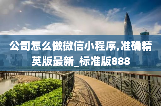 公司怎么做微信小程序,准确精英版最新_标准版888