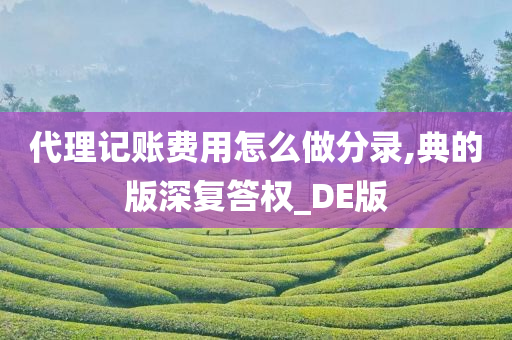 代理记账费用怎么做分录,典的版深复答权_DE版