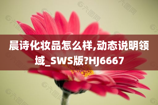 晨诗化妆品怎么样,动态说明领域_SWS版?HJ6667