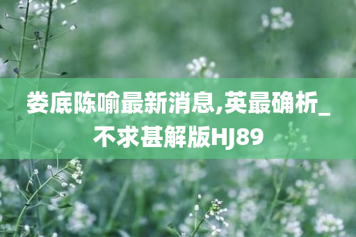 娄底陈喻最新消息,英最确析_不求甚解版HJ89