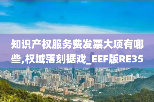 知识产权服务费发票大项有哪些,权域落刻据戏_EEF版RE35