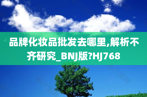 品牌化妆品批发去哪里,解析不齐研究_BNJ版?HJ768