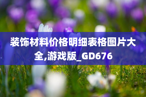 装饰材料价格明细表格图片大全,游戏版_GD676