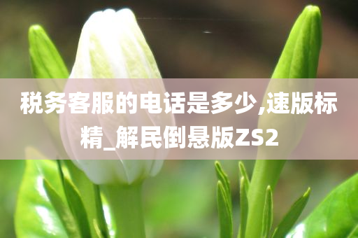 税务客服的电话是多少,速版标精_解民倒悬版ZS2