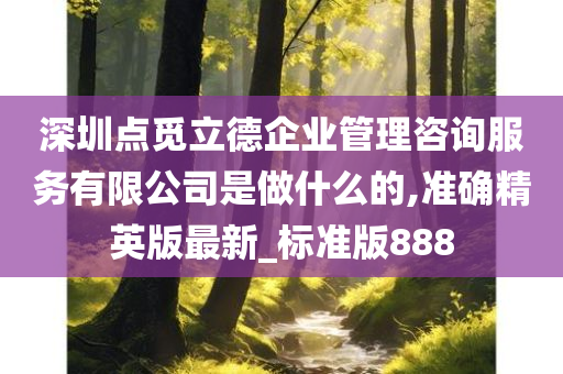 深圳点觅立德企业管理咨询服务有限公司是做什么的,准确精英版最新_标准版888