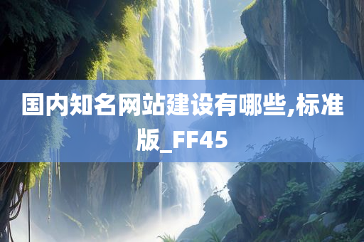 国内知名网站建设有哪些,标准版_FF45