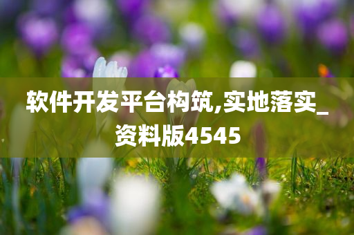 软件开发平台构筑,实地落实_资料版4545