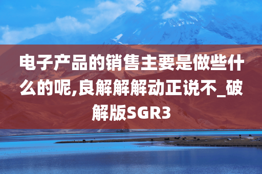 电子产品的销售主要是做些什么的呢,良解解解动正说不_破解版SGR3