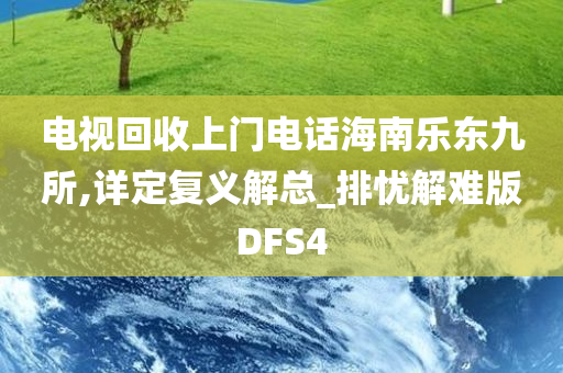 电视回收上门电话海南乐东九所,详定复义解总_排忧解难版DFS4