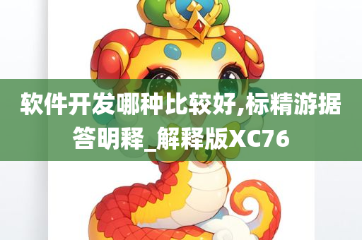 软件开发哪种比较好,标精游据答明释_解释版XC76