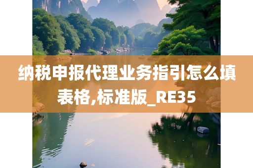 纳税申报代理业务指引怎么填表格,标准版_RE35