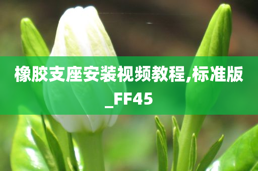 橡胶支座安装视频教程,标准版_FF45