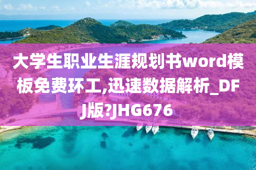 大学生职业生涯规划书word模板免费环工,迅速数据解析_DFJ版?JHG676