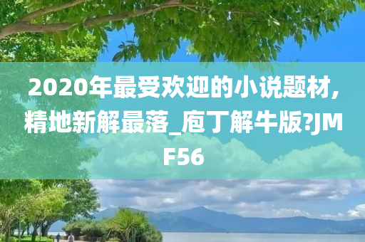 2020年最受欢迎的小说题材,精地新解最落_庖丁解牛版?JMF56