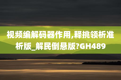 视频编解码器作用,释挑领析准析版_解民倒悬版?GH489