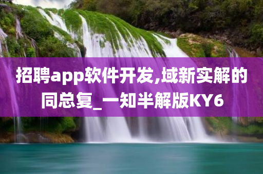 招聘app软件开发,域新实解的同总复_一知半解版KY6